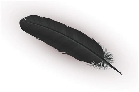 feather and bird tattoo meaning|spiritual meaning of a feather.